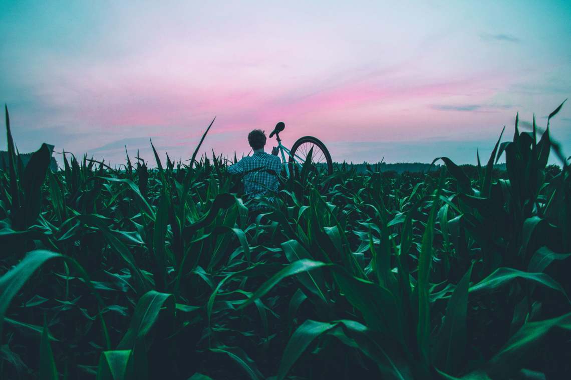 unsplash.com