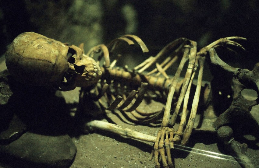 Blind Hoarder Mom Didn’t Realize She Was Living With Her Dead Son’s Corpse For 20 Years