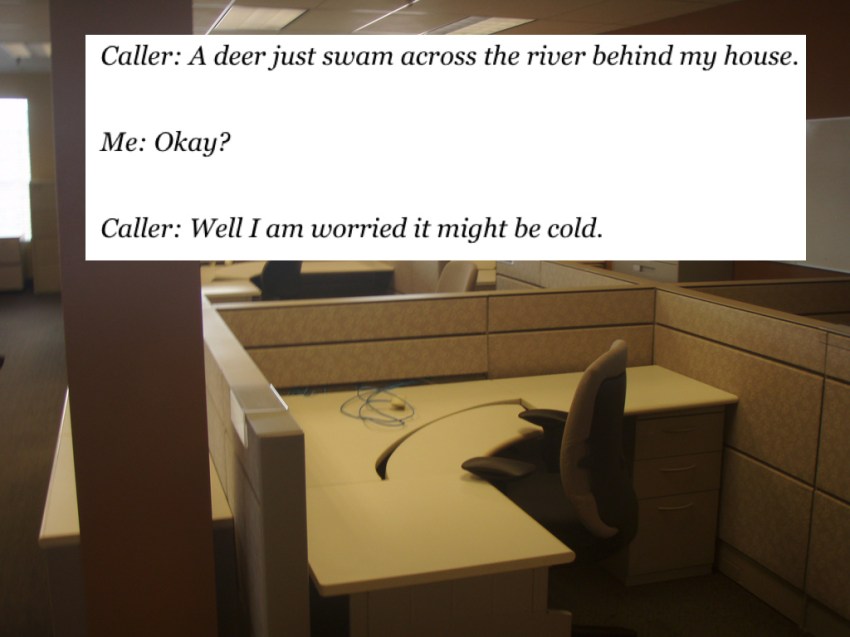22 Real 911 Operators Reveal The Most Hilariously Stupid Call They Ever Received