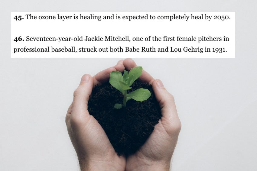 ‘A Group Of Bunnies Is Called A Fluffle’ And 50 Other Happy Facts That Will Turn Your Entire Day Around