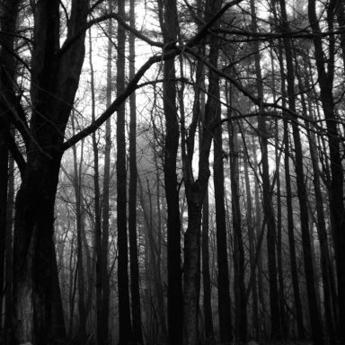 Horror In The Woods: 24 SUPER-Creepy Real-Life Stories Of Camping Gone Wrong