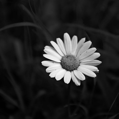 15 Quotes To Help You Embrace Your Loneliness