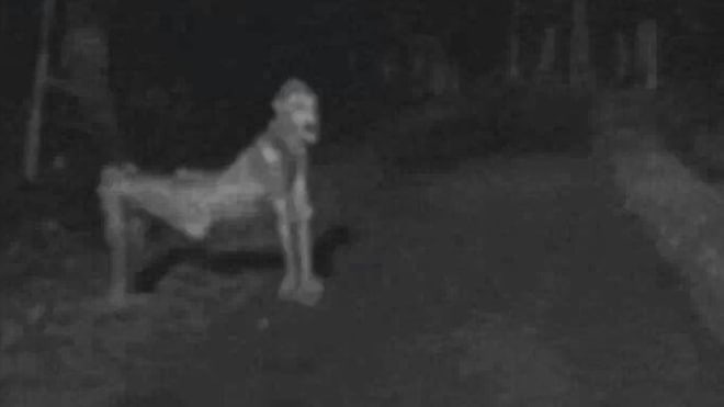 14 Facts About Skinwalkers That Will 100% Scare The Shit Out Of You