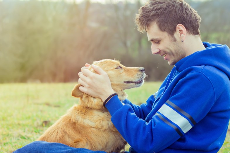 guy and his dog, golden retriever, nature