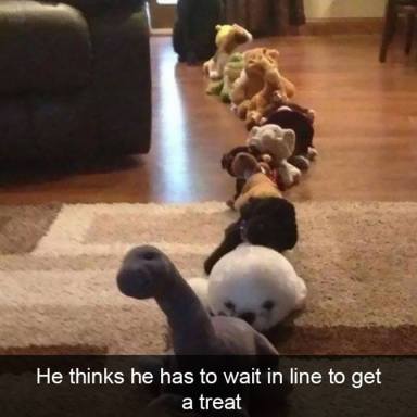 These 21 Hilarious Dog Snapchats Might Be The Cutest Pics On The Internet