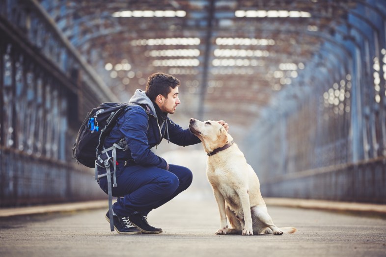 Man walking with his yellow labrador retriever on the old bridge