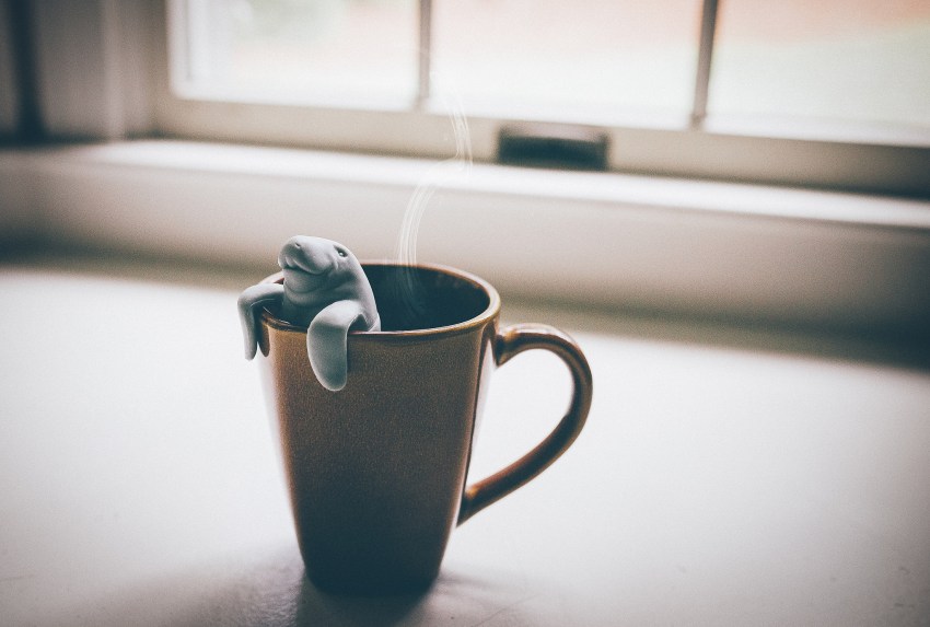 Here’s The Apology Letter I’m Never Going To Send You