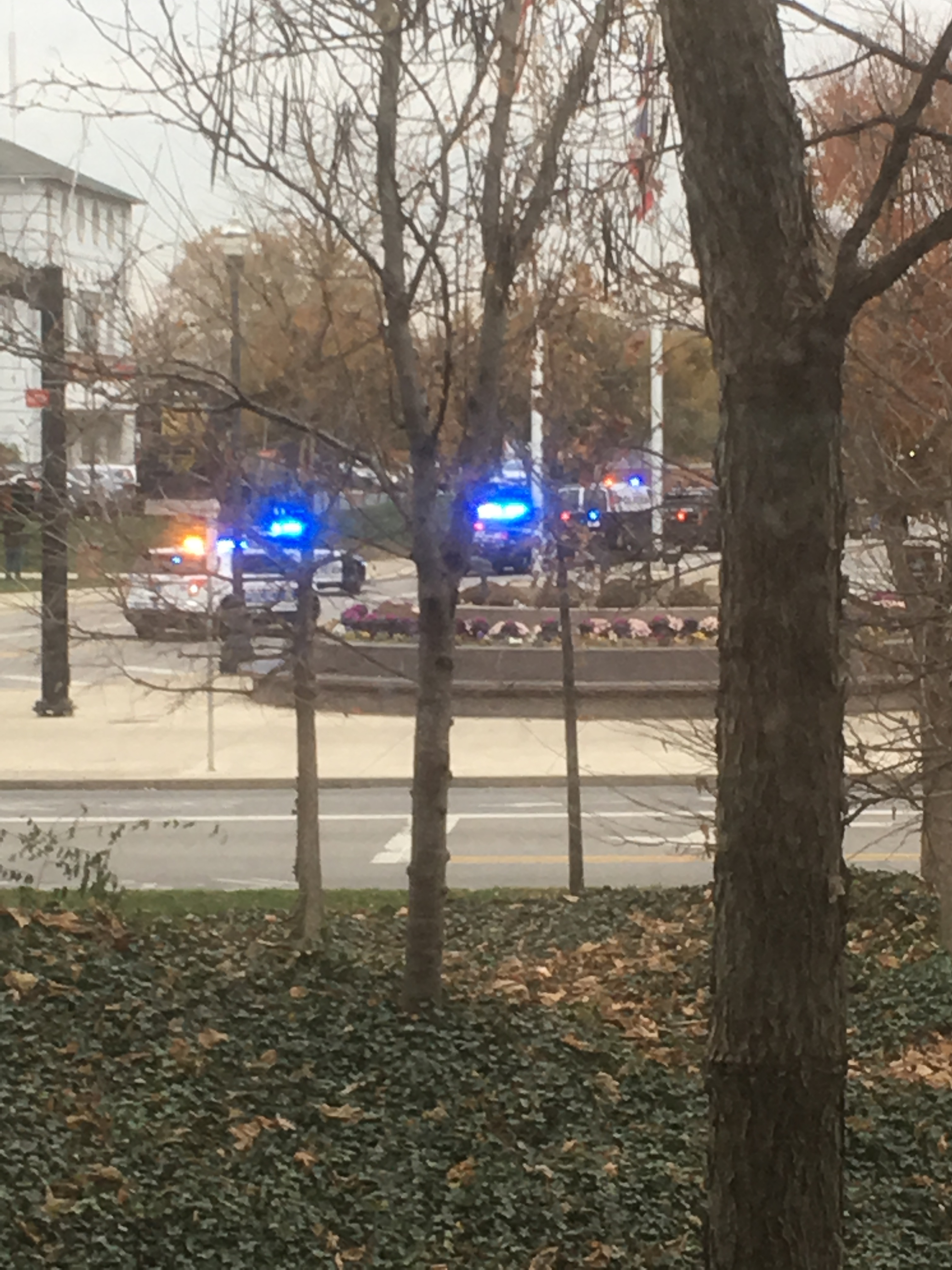 Police have congregated on Tuttle Park just south of Lane Avenue