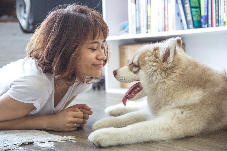 its-time-to-stop-looking-for-the-perfect-mate-and-start-looking-for-the-perfect-dog