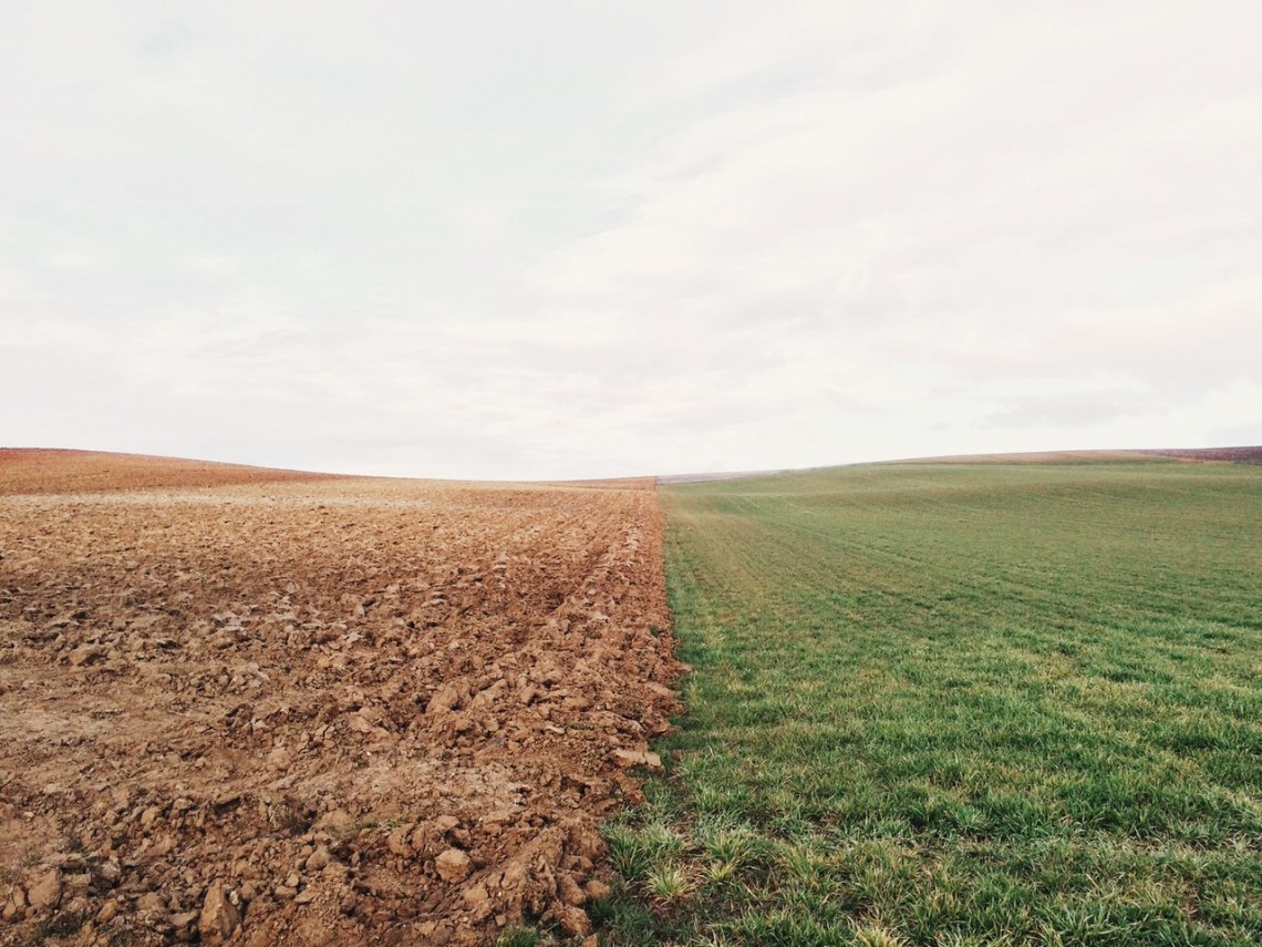 via Unsplash