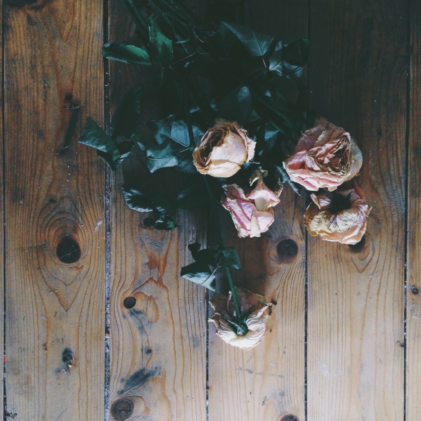 It’s Time You Forgave Yourself For The Things You Got Wrong In 2016