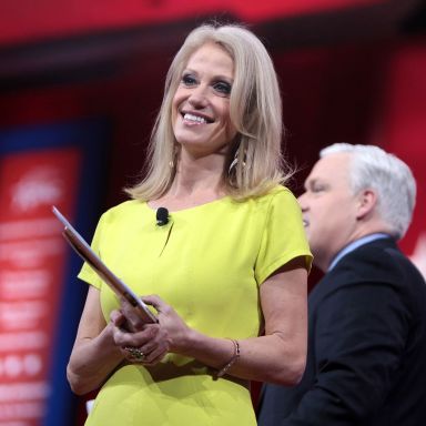 Here’s Everything You Need To Know About Trump’s Right-Hand Woman Kellyanne Conway