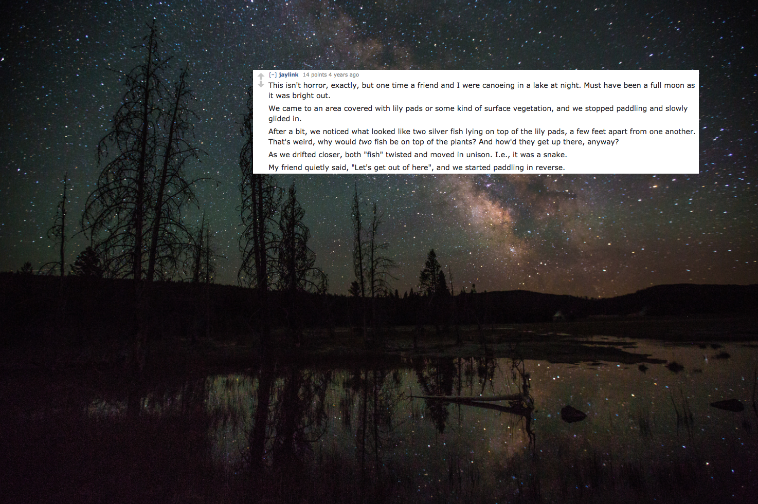 23 True Scary Stories That Will Keep You Up All Night Thought Catalog