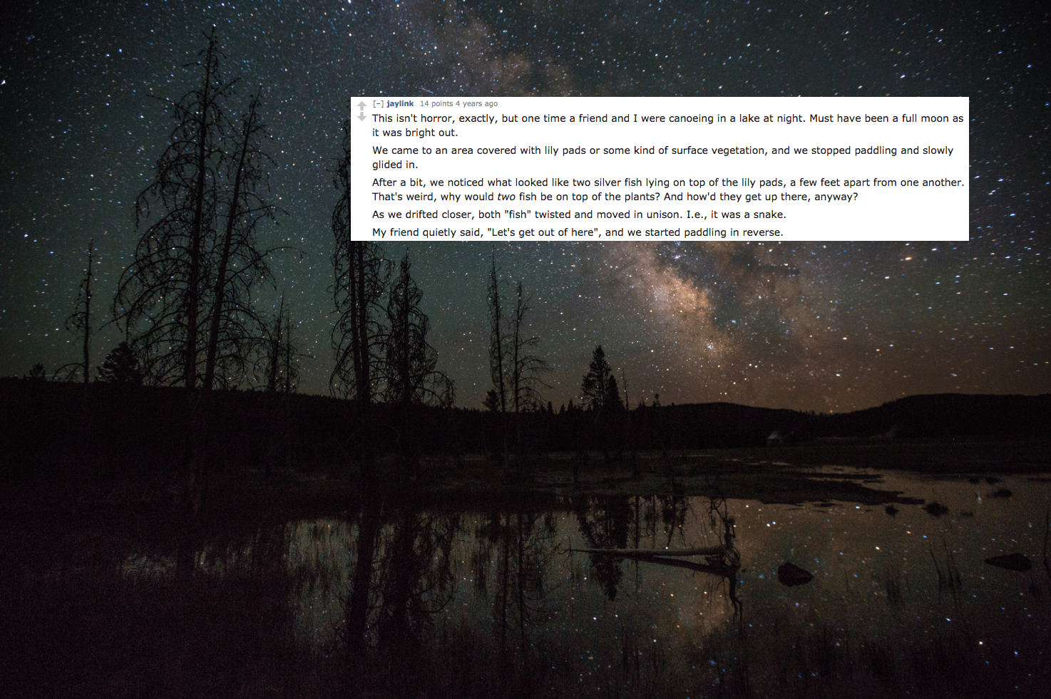 23 True Scary Stories That Will Keep You Up All Night Thought Catalog