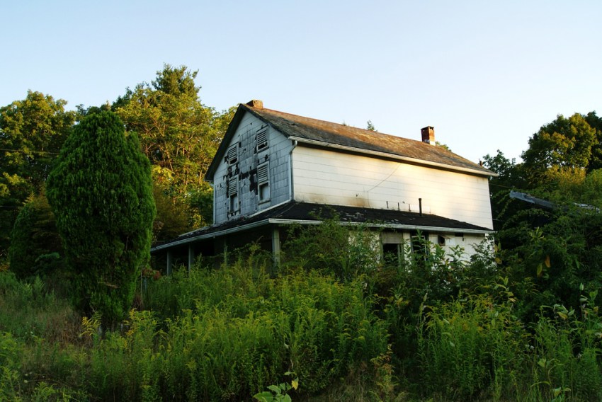 Everything About Our Family Farm Is Lovely…Except For What Lives In The Basement