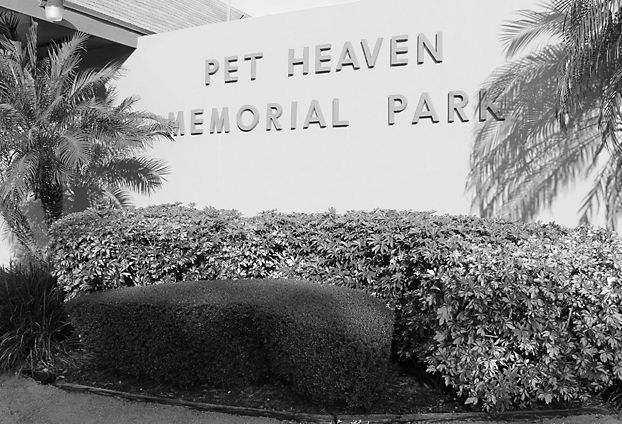 pet-heaven