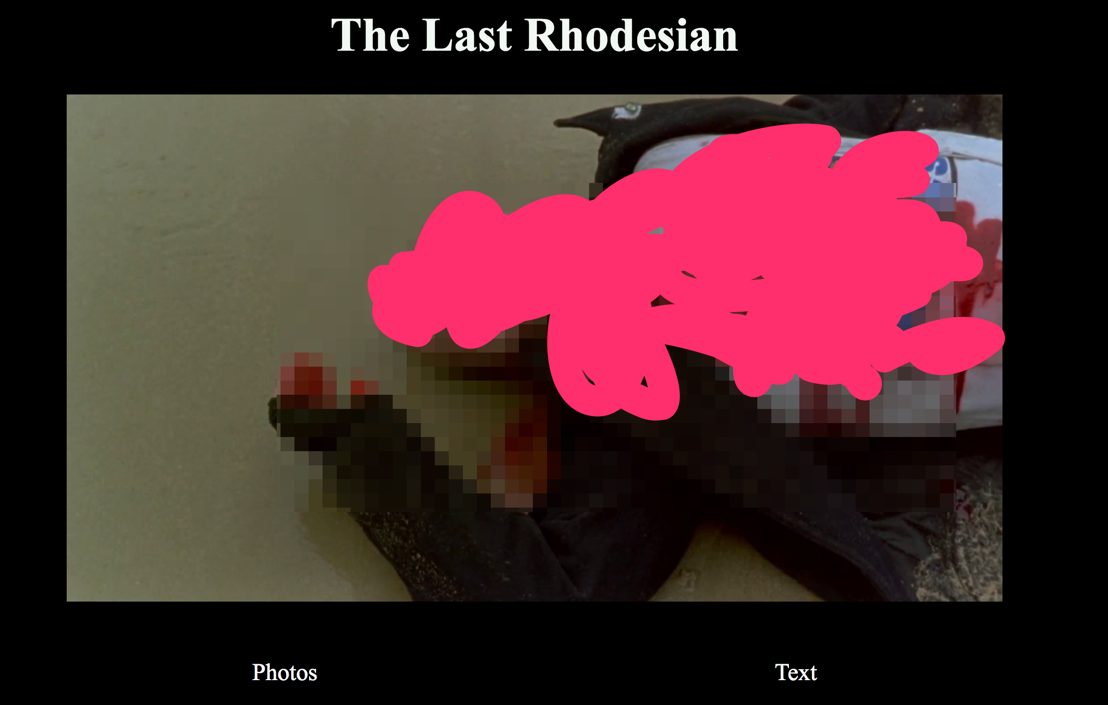 The Last Rhodesian