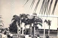 bcc-bw