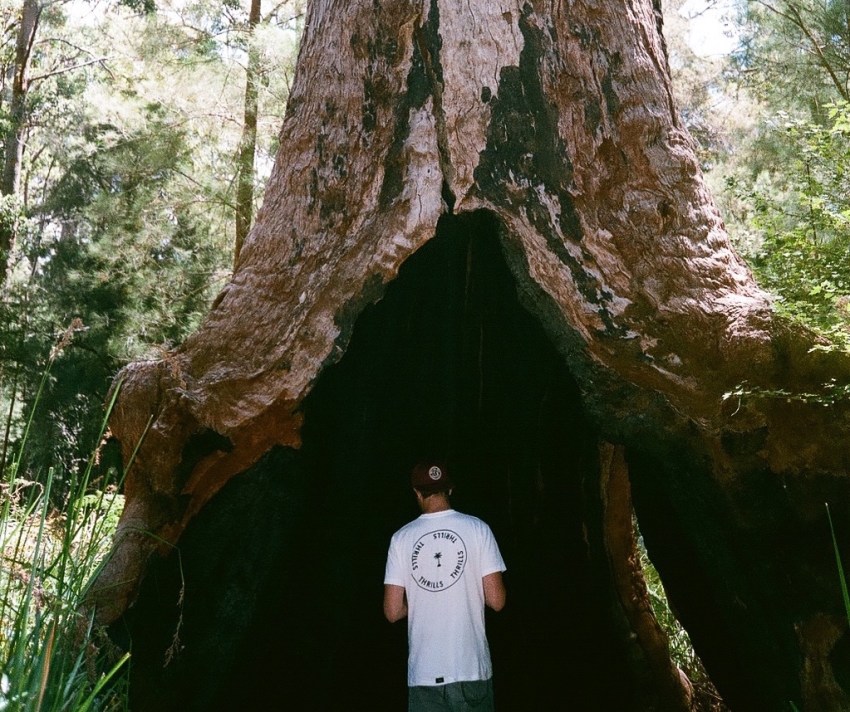 Here’s Why You Should Date The Introverted Nice Guy