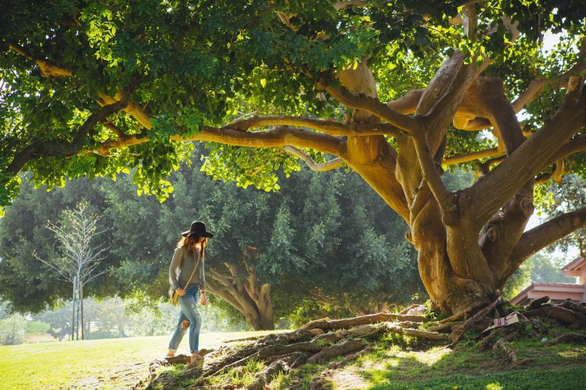 What We Misunderstand About ‘The Law Of Attraction’ (And How To Set It Straight)