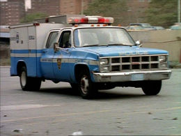 nypd-81