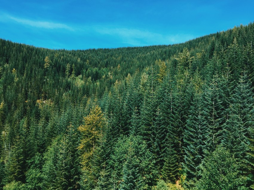 My Suicidal Trip To The Pacific Northwest Where I ‘Donated’ My Secret Mormon Temple Clothes