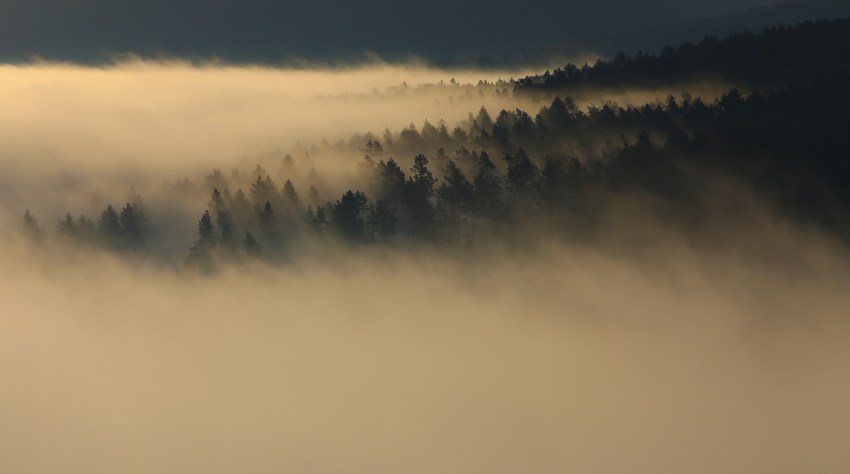 25 People Reveal Their Personal Mysteries That Are Still Unsolved