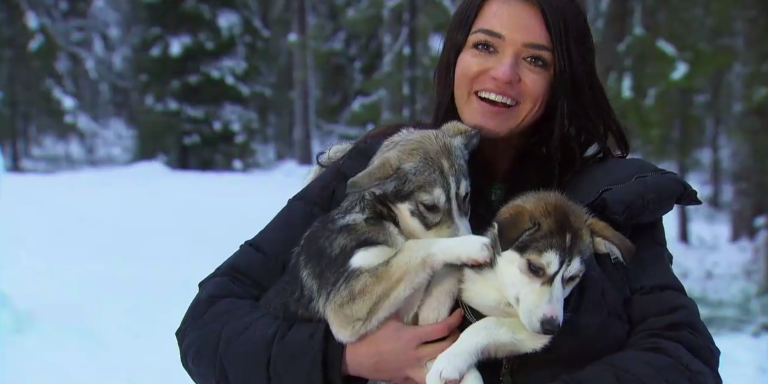 Screw Nick Viall — I Hope Raven Ends Up With These Cool Puppies