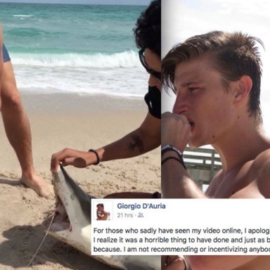 This Spring Breaker Finally Apologized After The Internet Called Him Out For Using A Live Shark To Shotgun A Beer