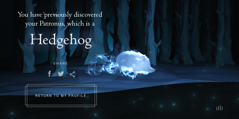 My Pottermore Patronus Is A Hedgehog And This Is How I Deal