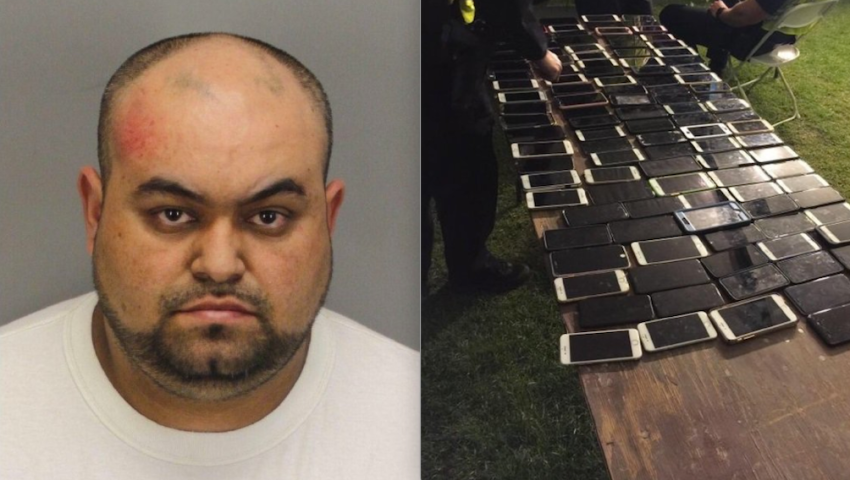 This Man Stole Over 100 Phones At Coachella And People On Twitter Are Calling Him A ‘Hero’