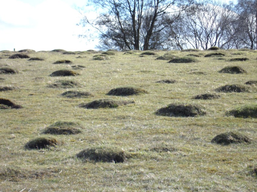 There’s Something You Need To Know About The Mounds Of Meno County