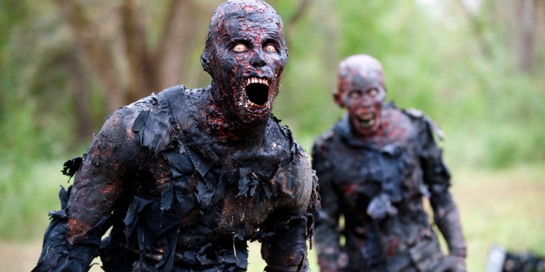 14 Things Your Brain Didn’t Know About The Walking Dead