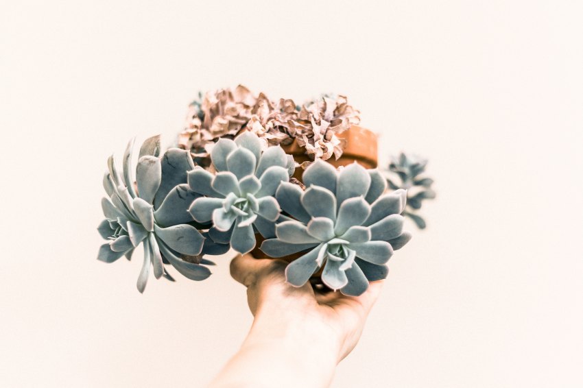12 Things I’ve Done Lately To Curb My Anxiety That Have Nothing To Do With Therapy