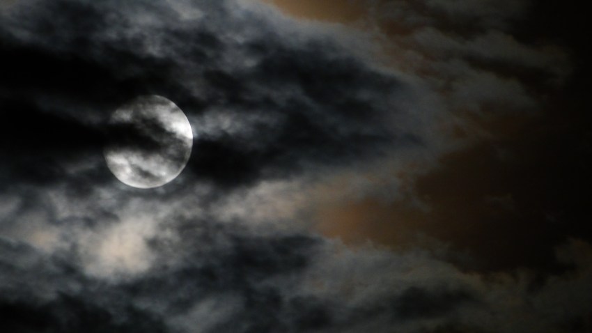 18 Night Owls Share The Strangest Thing They’ve Ever Seen While The Rest Of The World Is Asleep
