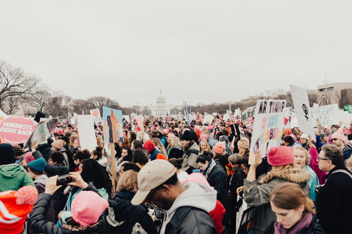 Crowd of people protesting at the DC capitol