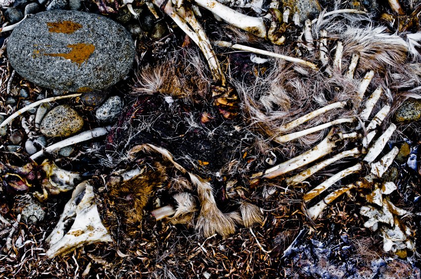 25 Coroners On The Strangest Cause Of Death They Have Ever Encountered