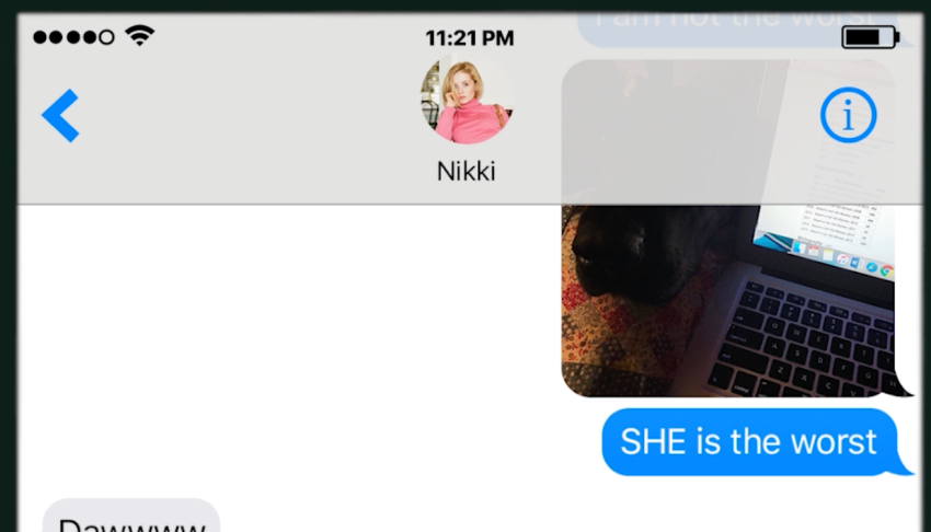 This Text Message Describes The Creepiest Housesitting Experience Ever