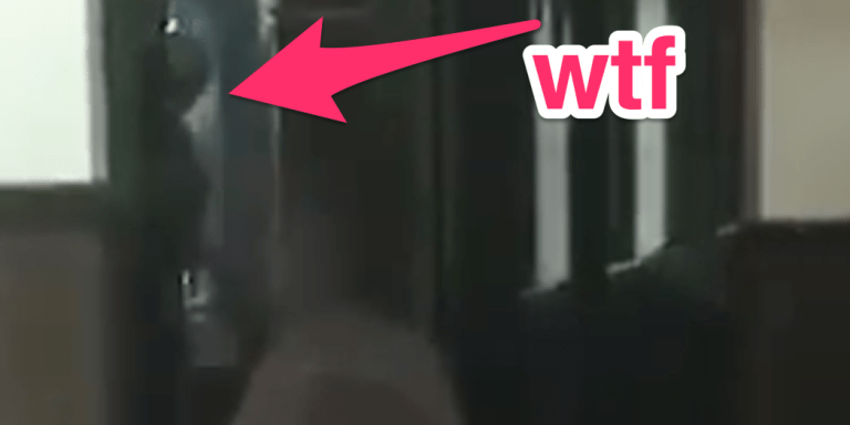 Someone Found Something Disturbing In The Background Of A Video Their Dogsitter Sent