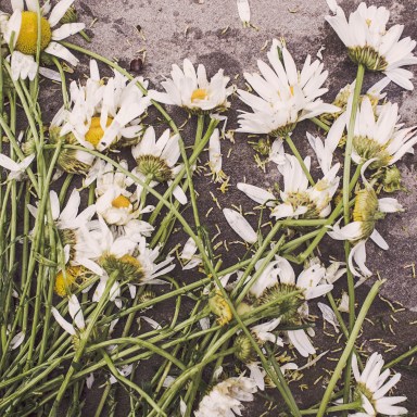 What Working At A Cemetery Taught Me About Living