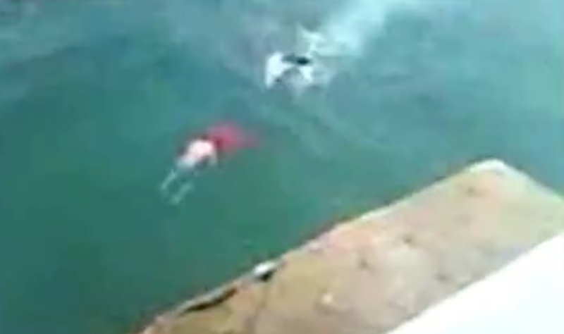guy splits his face in half jumping into water video