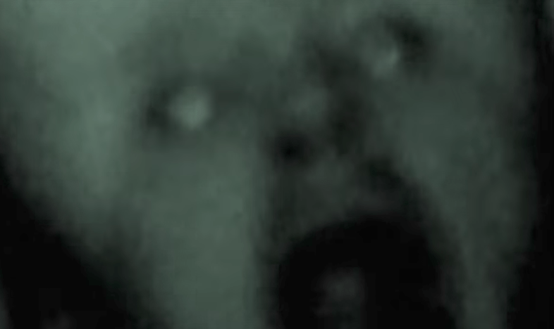 13 Grisly And Horrifying Videos You Shouldn’t Watch If You Want To Sleep Tonight