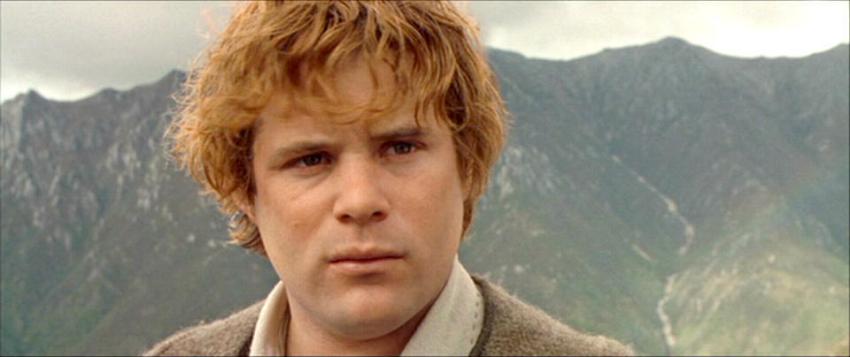 samwise-gamgee-samwise-gamgee-12089038-960-404.jpg