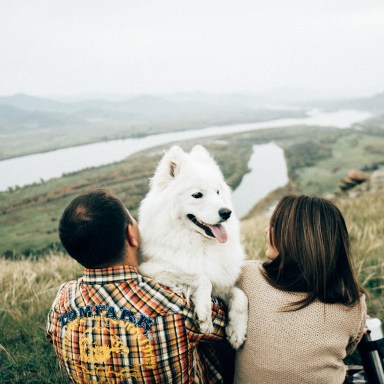 dogs are better than dudes