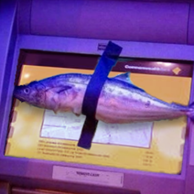A fish taped to an ATM in protest