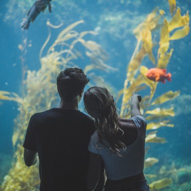 couple at a fish tank looking in