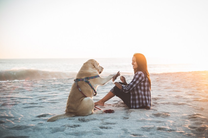 The Best Relationship Of Your Life Will Be With The Girl Who Loves Dogs
