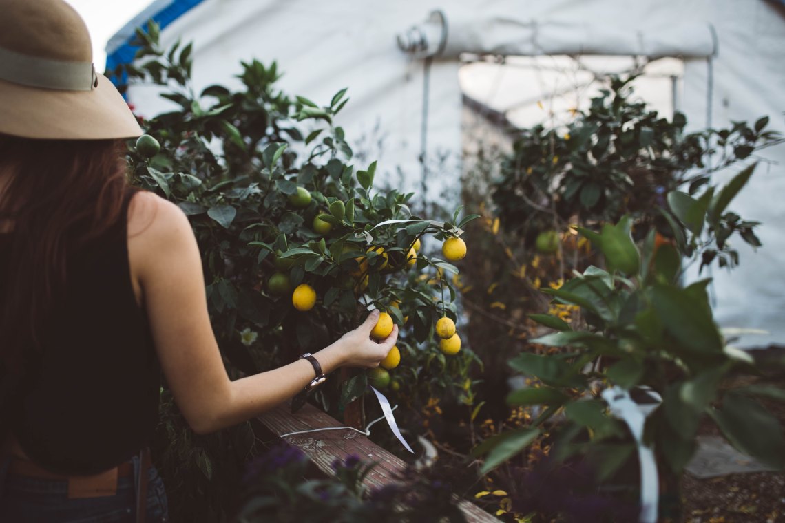 How To Heal When Life Gives You Lemons