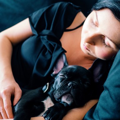 7 Little Ways Your Pet Makes Your Life Infinitely Better