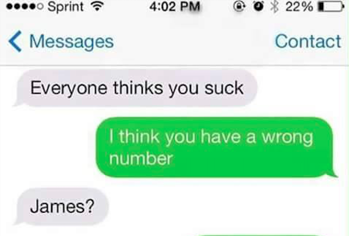 Hilarious wrong number text